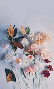 35 Phone Wallpapers To Make Flowers Grow On Mobile Phones Beautiful Flower Mobi Flower Phone Wallpaper Flower Background Wallpaper Plant Wallpaper