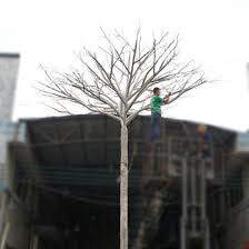 $15.00 coupon applied at checkout save $15.00 with coupon. China Huge Outdoor Plants Yard Decoration Natural Looking White Artificial Birch Tree For Hotel Mall Landscaping China Garden Decoration And Artificial Birch Tree Price