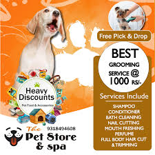Best rated pet store near me. Pet Store Spa Posts Facebook