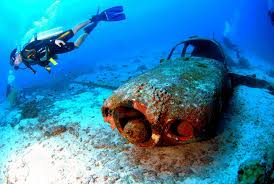When looking for suits, you should determine how often you surf, what price point i tried on a diving wetsuit before just to see whether it plausible and had a horrible experience. Top 10 Best Wetsuits For Scuba Diving Updated Review 2021