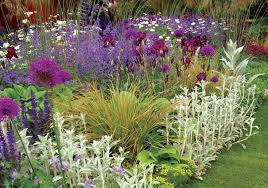 Easy to grow flowers uk. Choosing The Perfect Perennial Border Plants