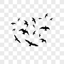 Are you looking for bird group design images templates psd or png vectors files? Bird Png Images With Transparent Background Free Download On Lovepik
