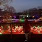 Holiday Lights Spectacular at the RWP Zoo