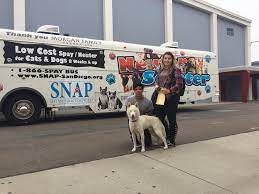 San diego pet hospital cost. Snap Offers Large Dog Specialty Spay Neuter Clinic At Affordable Rates Snap San Diego