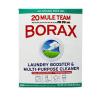 3 pack) Dial 20 Mule Team Borax Natural Laundry Booster ...