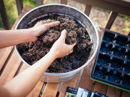 When the seedlings get their first set of true leaves start watering them with half strength miracle grow or any other water soluble fertilizer. Make The Best Seed Starting Mix For Dirt Cheap It S Organic Too Garden Betty