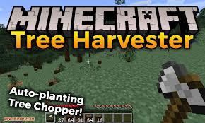 Minecraft plugins are installed on the minecraft server and not on the minecraft client. Tree Harvester Mod 1 17 1 1 16 5 Auto Planting Tree Chopper 9minecraft Net