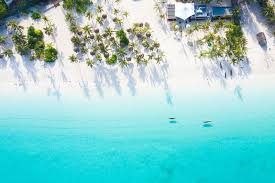 See the sights and sounds of tanzania. Tanzanie Le Pays Est Ouvert Et Delivre Des Visas
