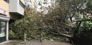 Auch am donnerstag ist es der deutsche wetterdienst hat für den nachmittag und abend erneut eine unwetterwarnung. Sturm Xavier In Berlin Tote Und Verletzte Durch Unwetter Taz De