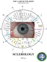 iridology pdf buscar con google blue eyes pinterest