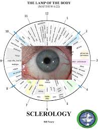 iridology pdf buscar con google medicina iridology