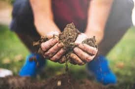An area 20 feet long by 10 feet wide with 3 inches of soil: What Is Topsoil And What Is It Used For Kellogg Garden Organics