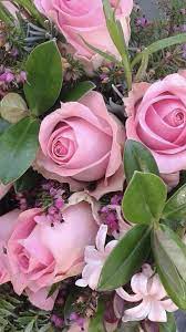 Experience the perfect jamaica, antigua, bahamas or saint lucia all inclusive vacation, luxury weddings, or honeymoons. Wedding Flowers Online Wholesale Flowers Wedding Bulk Wedding Flowers Wedding Flowers