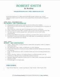 busboy resume samples qwikresume