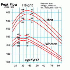 peak flow height chart normal readings of peak flow meters