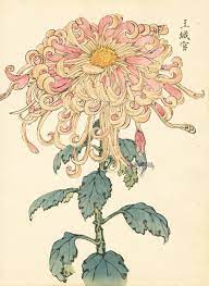 Keika Hasegawa Chrysanthemum Wood Block Prints Art Japanese Woodblock Printing Japanese Painting