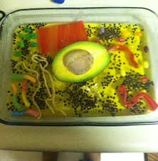Check spelling or type a new query. Pin By Afiya Barrow France On Science Project Plant Cell Model Science Projects Cell Model