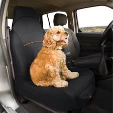 Kurgo Copilot Seat Cover Black Petco In 2020 Cute Baby Animals Baby Animals Pictures Cute Animals