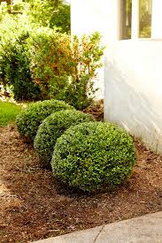 On other search engines, ads are based on profiles compiled about you using your personal information like search, browsing, and purchase. 19 Best Hedge Plants Better Homes Gardens