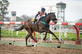 LÁGRIMAS Y SONRISAS SE HIZO DE GRUPO 1, MIENTRAS QUE LAGARTO BOY SUMÓ OTRO  TROFEO
