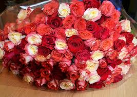 Check spelling or type a new query. Hd Wallpaper Beauty Flowers Bouquet Chic Valentine S Day Roses Bouquet Rose Wallpaper Flare