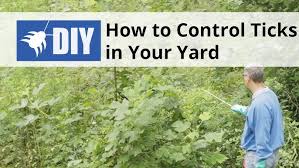10 effective ways to get rid of fleas. How To Control Ticks In Your Yard Outdoor Tick Control Domyown Com Youtube