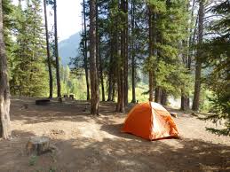 There are 12 campgrounds in yellowstone national park. Best Camping In Yellowstone National Park The Dyrt