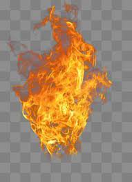 Flame Fire Combustion Enthusiasm Fire Clipart Dslr Background Images Black Background Images Studio Background Images