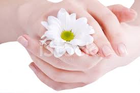 Check spelling or type a new query. Beautiful Female Hands Stock Photos Freeimages Com