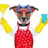 THE BEST 10 INTERIOR DESIGN near AMHERST, MA 01002