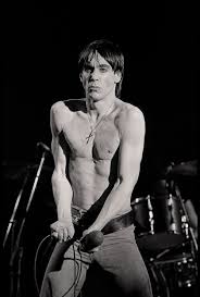 Find many great new & used options and get the best deals for iggy pop 7 action figure neca 2011 63032 at the best online prices at ebay! Iggy Pop Bare Real Captures Every Angle Of Punk Rock S Most Vital Force