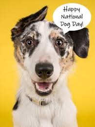 This day was started to honor and spread awareness about rescue dogs. 20 National Dog Day Cards Ideas Dog Days Cards Happy Dogs