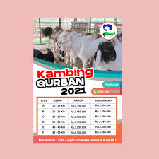 Deskripsi adegan dibuat dengan membagi keterangan visual dan audio. Contoh Desain Brosur Jual Hewan Qurban 2021 Yang Bagus Ketikanku