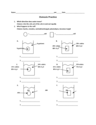 Osmosis Practice 9th 12th Grade Worksheet Osmosis Practices Worksheets Biology Worksheet