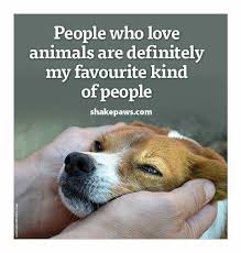 Pin By Kim Reid On Dog Stuff Animal Lover Quotes Animal Love Quotes Dog Quotes