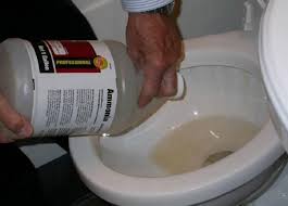 How do you unclog a toilet without a plunger? Unclog Toilet Bowl With Ammonia Http Lanewstalk Com How To Unclog Toilet Without Plunger Q Unclog Toilet Unclog Toilet Without Plunger How To Unclog Toilet