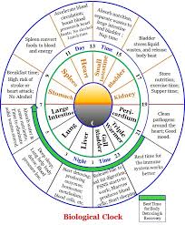 Ideal Daily Schedule Manavata Yoga