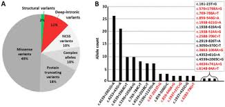 You may want to have a look at the following: Resolving The Dark Matter Of Abca4 For 1 054 Stargardt Disease Probands Through Integrated Genomics And Transcriptomics Biorxiv