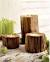 Wedding Rustic Theme