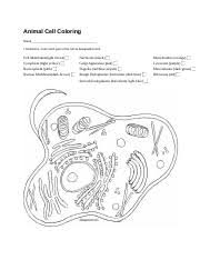 Biologycorner com animal cell coloring blank animal cell diagram to. Animal Cell Coloring Animal Cell Coloring Name I Directions Color Each Part Of The Cell Its Designated Color Cell Membrane Light Brown Nucleolus Black Course Hero