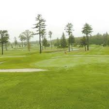 Image result for Green 2005 AA