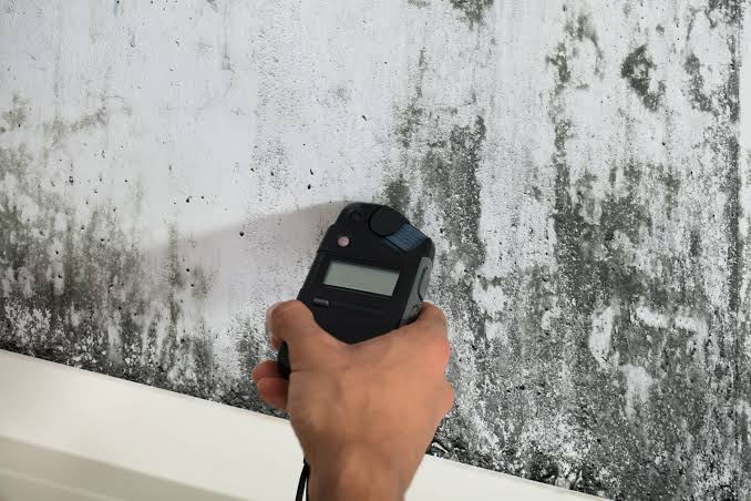 What Is Mold Testing? Methods, Mold Sampling, and What Results Mean
