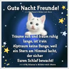 Wähle einfach das gewünschte bild aus der kategorie gute nacht freunde und klicke auf einen der darunter angezeigten codes. Pin Von Evelyn Hilla Auf Freunde Gute Nacht Freunde Gute Nacht Spruche Gute Nacht Grusse