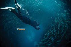 Hurghada Lover أفضل رحلات الغوص في الغردقة لعام ٢٠٢٠ حجز أجمل رحل Egypt Travel Egypt Whale