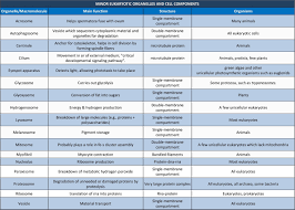 Also features of the organization of plant and animal cells are noted. 1 4 Eucaryotic Cell Structure Science Cells Biology Lessons Cell Structure