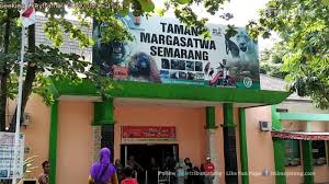 Bonbin mangkang 2021 taman margasatwa kota semarang jawa tengah indonesia tinjomoyo tugu smg htm waterboom 50185 alternatif wisata alamat kebun binatang buka jam foto gambar sumberejo kaliwungu lokasi letak peta tiket tarif masuk harga. Dprd Kota Semarang Siapkan Rp 195 Miliar Untuk Mengembangkan Bonbin Mangkang Tribun Jateng