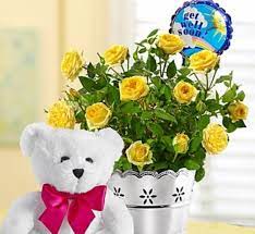 Get well soon flowers are an ideal gift when you hear the news that your friend or family member is unwell. Some Delightful Get Well Soon Flowers With Positive Vibe Get Well Soon Flowers Get Well Flowers Get Well Soon Gifts