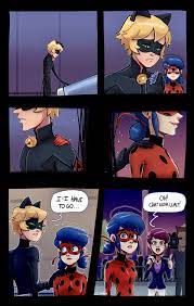 You Don T Understand Part 41 Miraculous Ladybug Comic Miraculous Ladybug Anime Miraculous Ladybug Funny