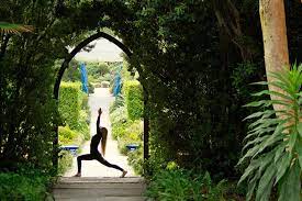 Ayurvedic cookery session on our ayurvedic yoga retreat. Yoga Retreats August 2018 Uk Yogawalls