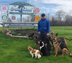 So if you see a beautiful german shepherd walking around portsmouth. Chris Fiels Dog Trainer At Youreverydayk9 Llc Buffalo Niagara Region Wny